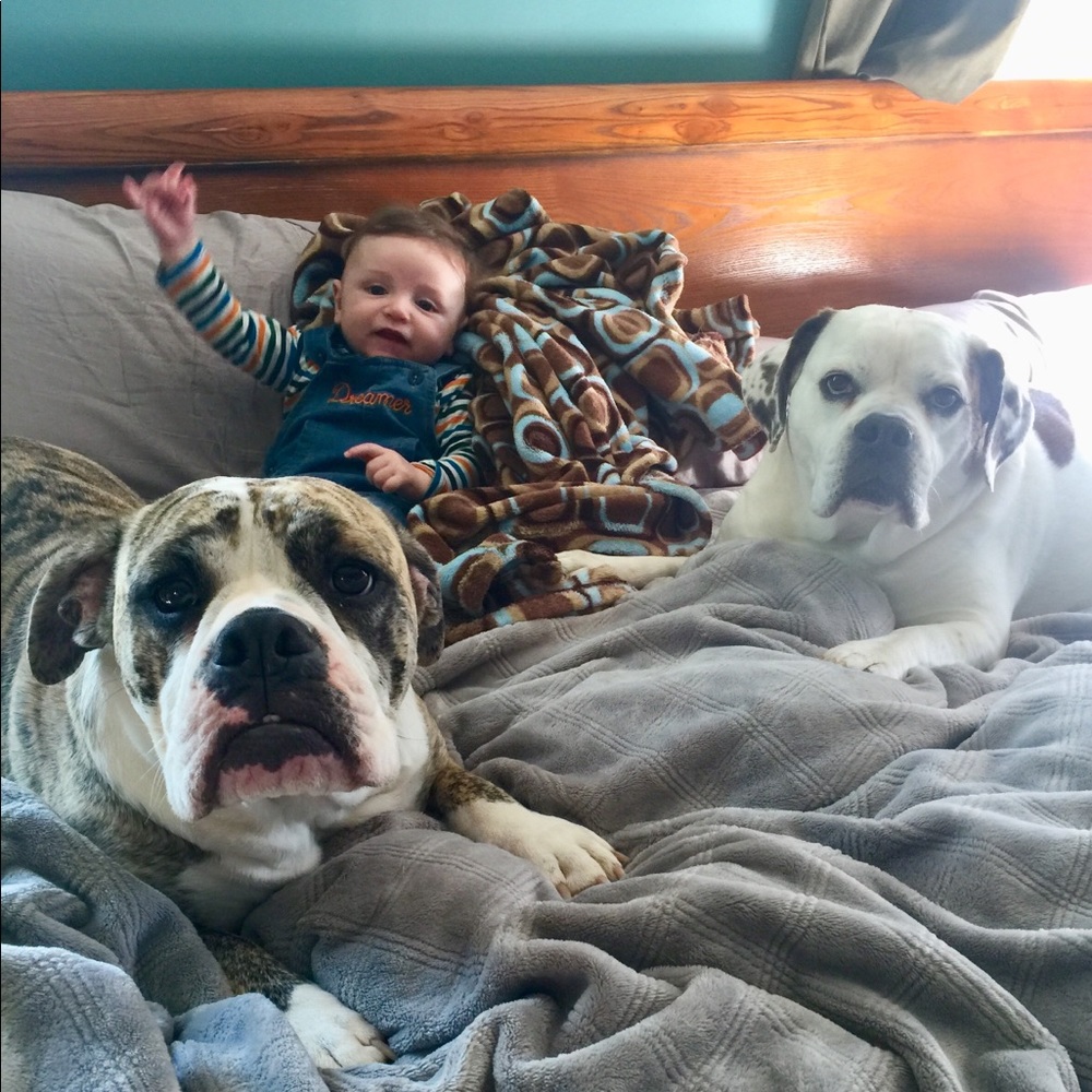 These are my babies🐶💚 - Picture 15 of 15